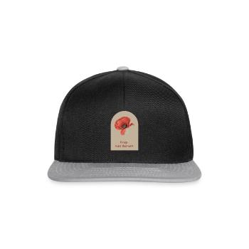 Design statt alternativ 2 - Snapback Cap - Schwarz/Grau - Vorne