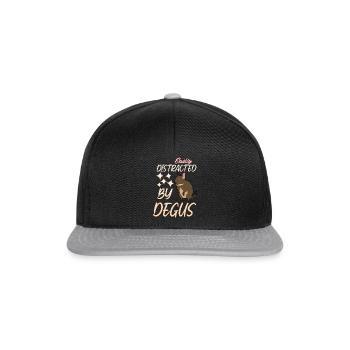 Degu Witz Degus - Snapback Cap - Schwarz/Grau - Vorne