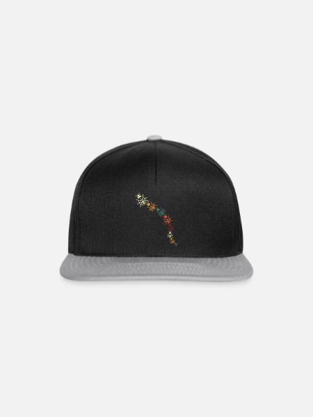 Ladybug Retro Ladybugs - Snapback Cap - Schwarz/Grau