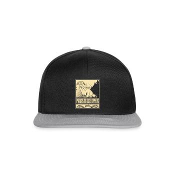 Vintage Parasaurolophus Dino - Snapback Cap - black/grey - Front