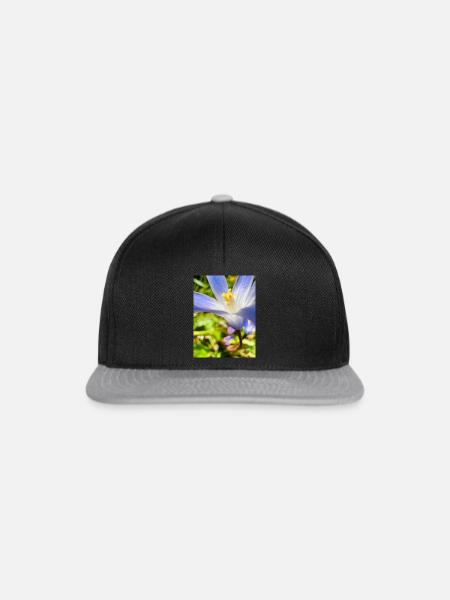 Frühlingsanfang, Frühling, Blüte - Snapback Cap - Schwarz/Grau