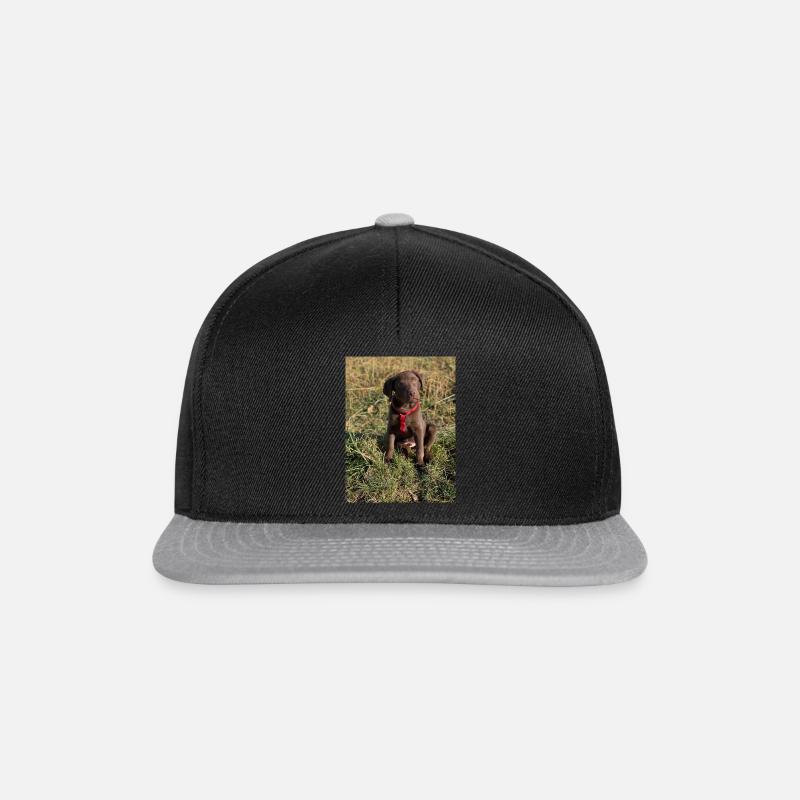 Labrador Choco Welpe - Snapback Cap - Schwarz/Grau