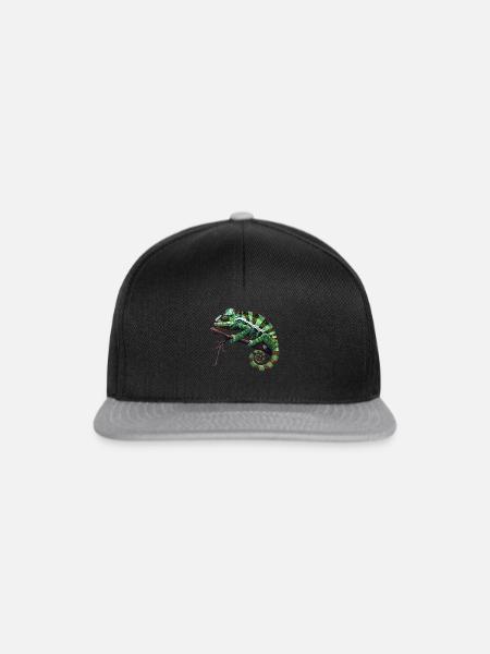 Chamelion - Snapback Cap - Schwarz/Grau
