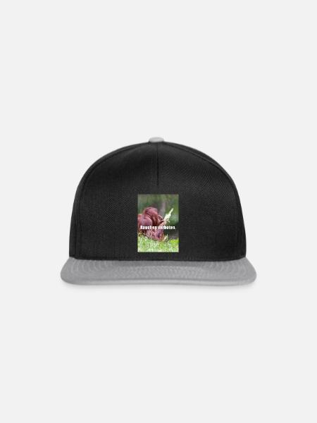 Rauchen verboten - Snapback Cap - Schwarz/Grau