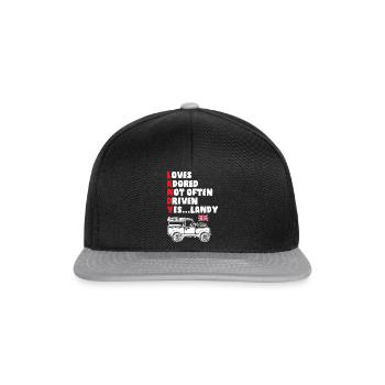 Its Landy - Snapback Cap - Schwarz/Grau - Vorne