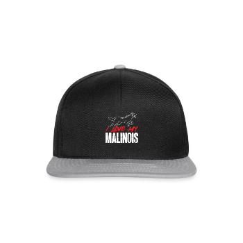 Malinois Belgischer Schäferhund Mechelaar Hund - Snapback Cap - Schwarz/Grau - Vorne