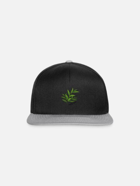 simply vegan - Snapback Cap - Schwarz/Grau