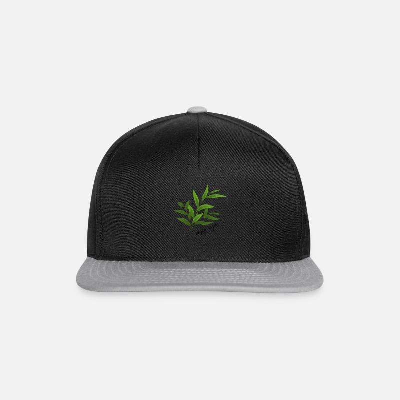 simply vegan - Snapback Cap - Schwarz/Grau