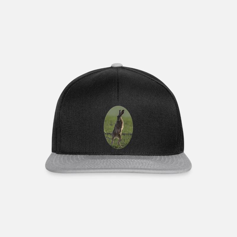 Field hare in the Easter egg - Snapback Cap - black/grey