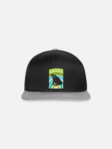 Frosch Froschkönig - Snapback Cap - Schwarz/Grau