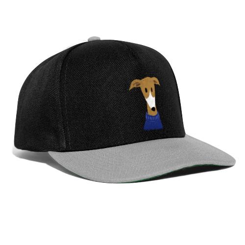 Windhund in blauem Pulli - Snapback Cap
