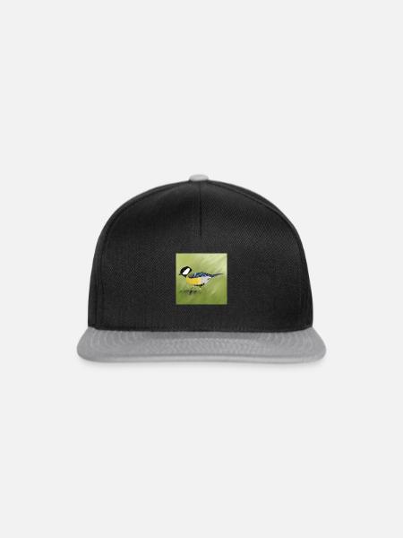 Kohlmeise - Snapback Cap - Schwarz/Grau