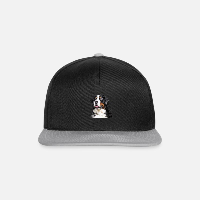 Bouvier bernois - Casquette snapback - noir/gris