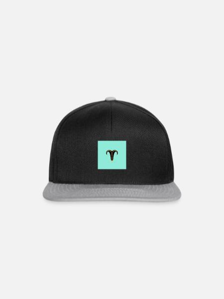 STERNZEICHEN Widder -blue- - Snapback Cap - Schwarz/Grau
