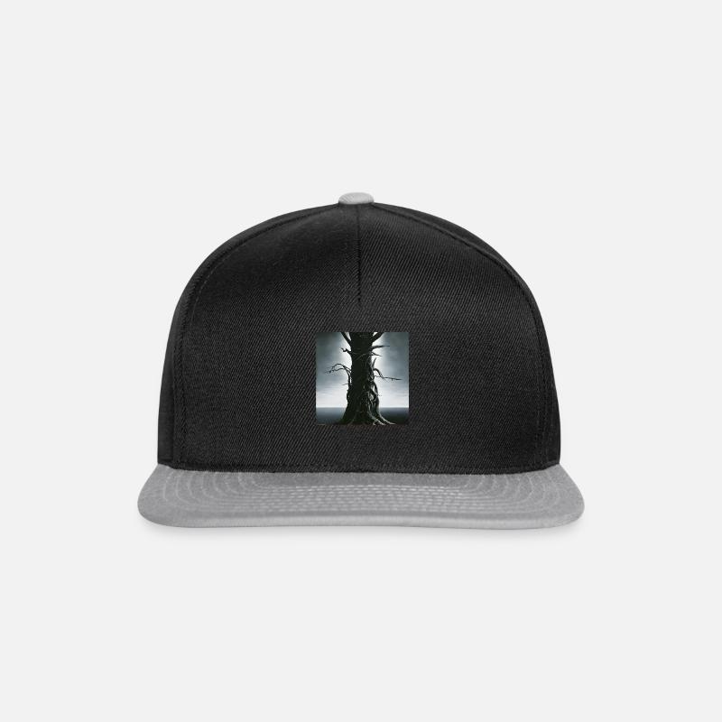 Alter - Snapback Cap - Schwarz/Grau