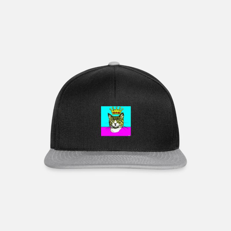 Blind Cat 9 - Snapback Cap - Schwarz/Grau