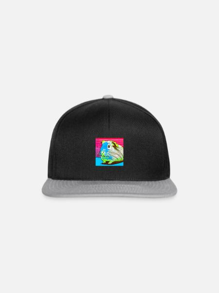 Retro Meerie - Snapback Cap - Schwarz/Grau