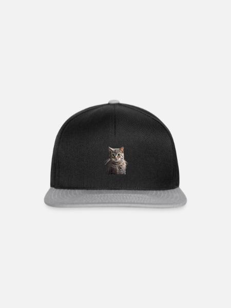 kurzhaar süße Katze mit süßen Blick - Snapback Cap - Schwarz/Grau