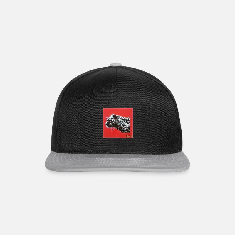 Catlike - Snapback Cap - black/grey