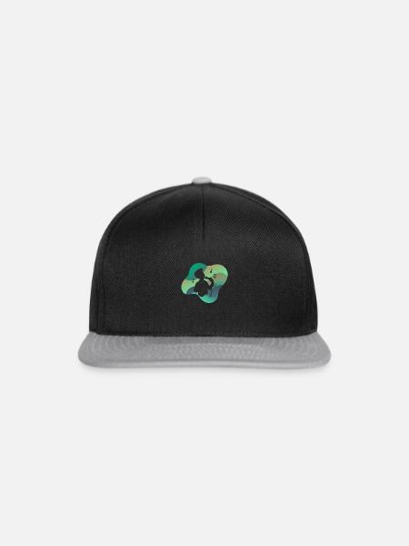 Singen Tenor - Snapback Cap - Schwarz/Grau