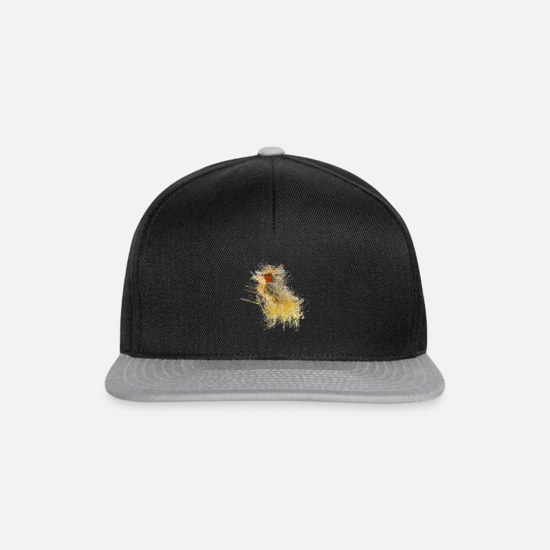 oiseau - Casquette snapback - noir/gris
