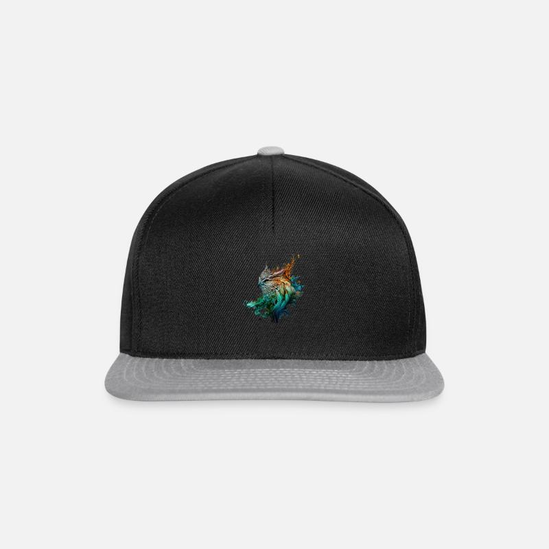 Owl Color Jets - Snapback Cap - black/grey