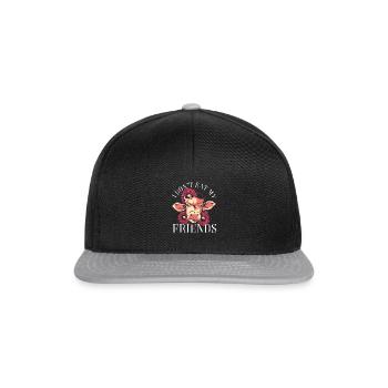 Vegan - Snapback Cap - Schwarz/Grau - Vorne