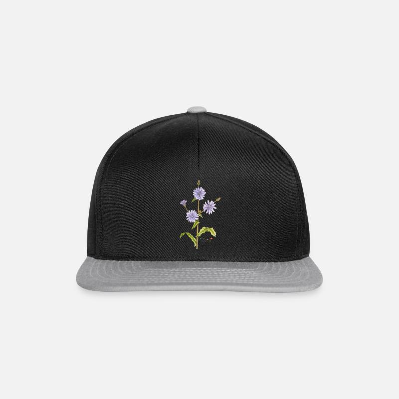 Chicory - Snapback Cap - black/grey