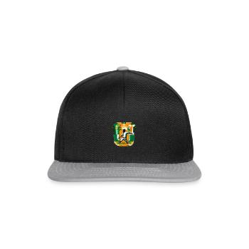 Radiant Ivory Coast - Snapback Cap - black/grey - Front