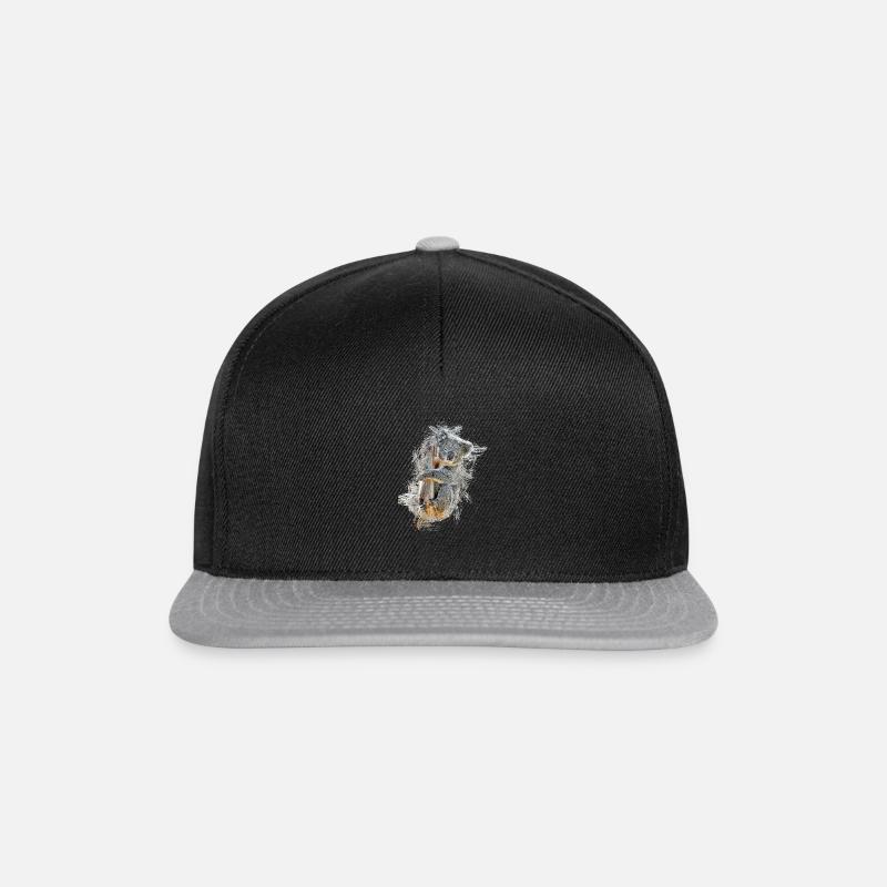 koala - Casquette snapback - noir/gris