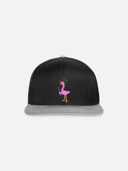 Flamingo Hexe Hexenhut - Snapback Cap - Schwarz/Grau
