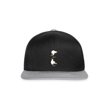 Möwen Yoga - Snapback Cap - Schwarz/Grau - Vorne