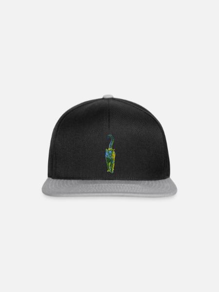 Mystic Cat - Snapback Cap - Schwarz/Grau