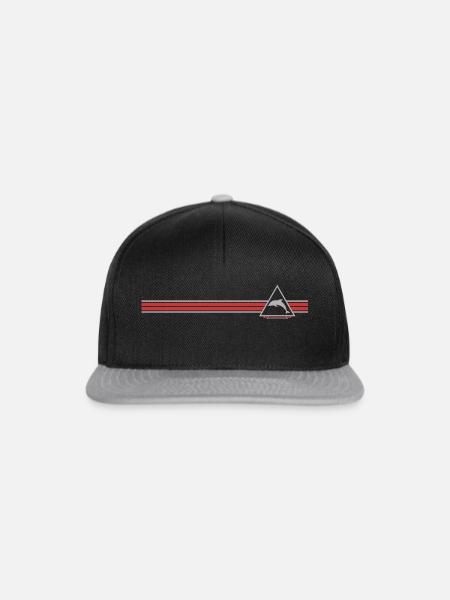 Delphin - Snapback Cap - Schwarz/Grau