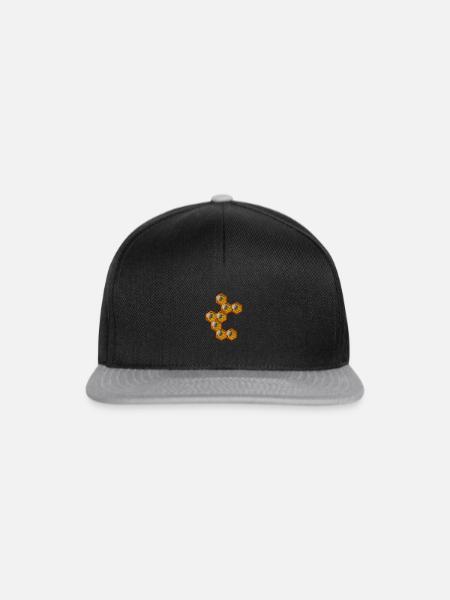 Honey - Snapback Cap - Schwarz/Grau