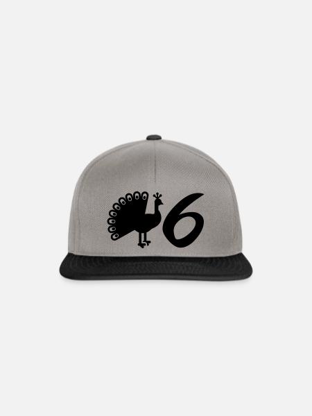 V6 - Pfau 6 - Snapback Cap - Graphit/Schwarz