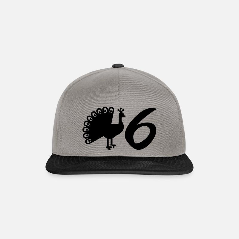V6 - Pfau 6 - Snapback Cap - Graphit/Schwarz