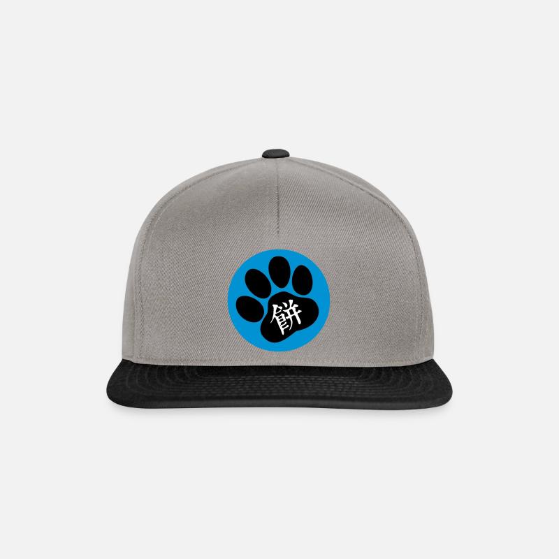 Label Blue Mochi - Snapback Cap - Graphit/Schwarz
