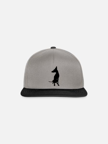 podenco boss - Snapback Cap - Graphit/Schwarz