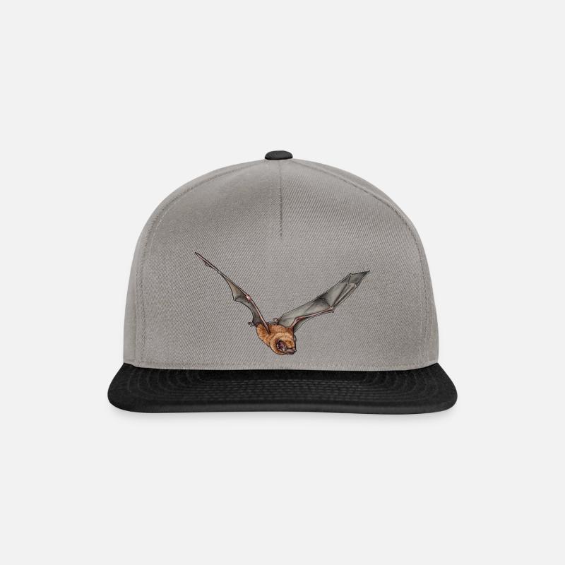 Kleiner Abendsegler einzeln - Snapback Cap - Graphit/Schwarz