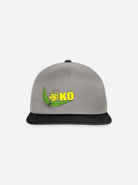 ÖKO - Snapback Cap - Graphit/Schwarz