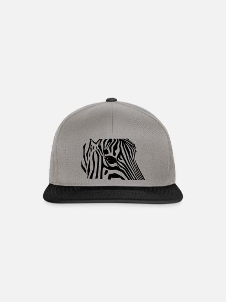 Zebra - Snapback Cap - Graphit/Schwarz