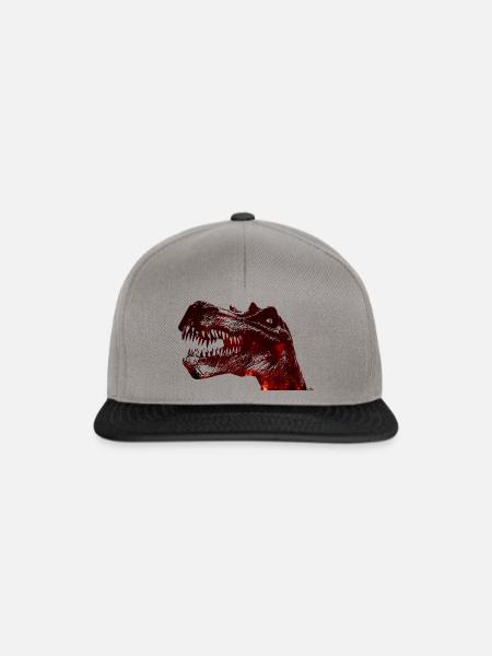 Dino - Snapback Cap - Graphit/Schwarz