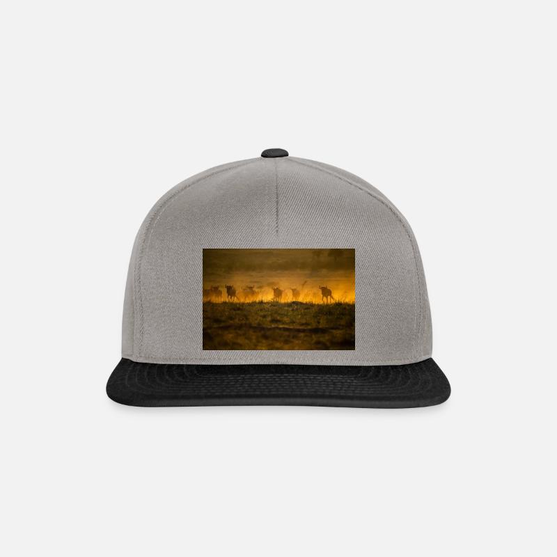 Great Migration - Snapback Cap - Graphit/Schwarz