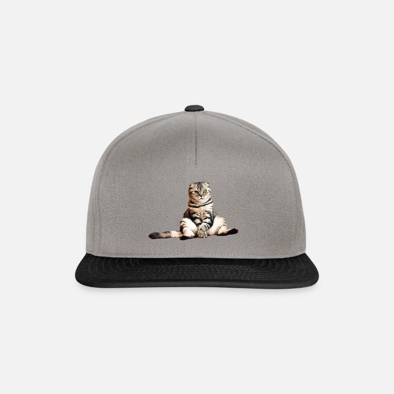 cat - Snapback Cap - Graphit/Schwarz