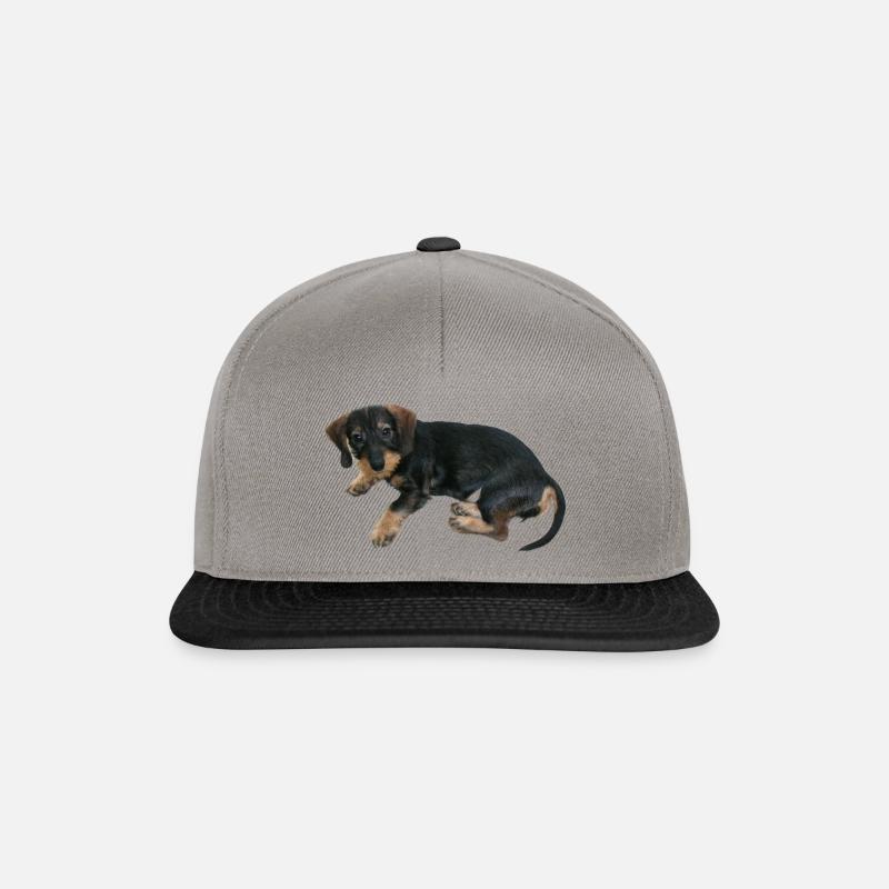 Chien chiot mignon - Casquette snapback - gris graphite/noir