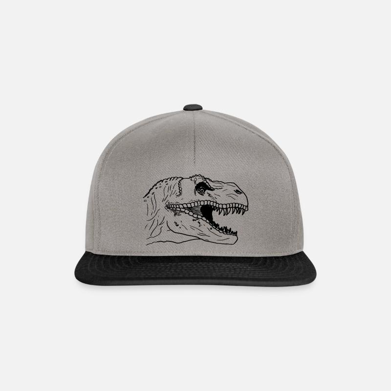 Tyrannosaurus Rex T-Rex - Snapback Cap - graphite/black