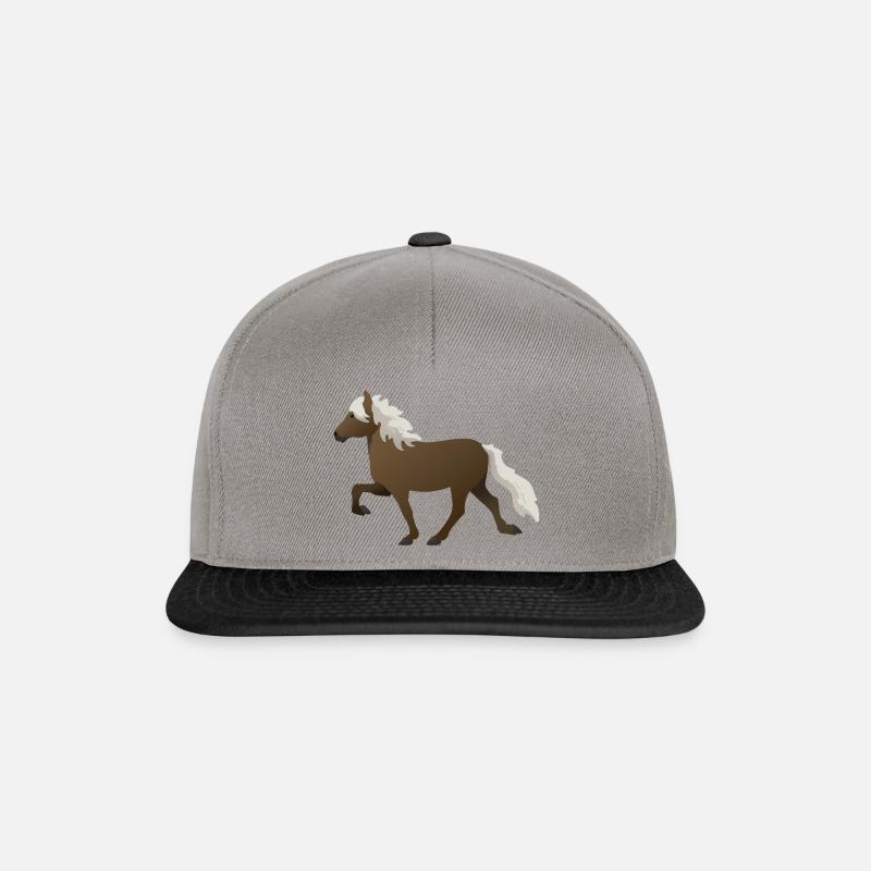 Tölter - Snapback Cap - Graphit/Schwarz