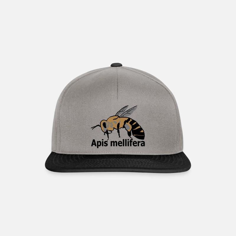 Honey bee Apis mellifera - Snapback Cap - graphite/black