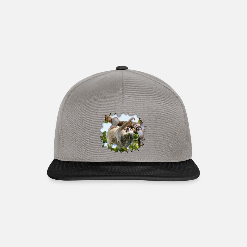Zweifingerfaultier, das in einem Baum hängt - Snapback Cap - Graphit/Schwarz